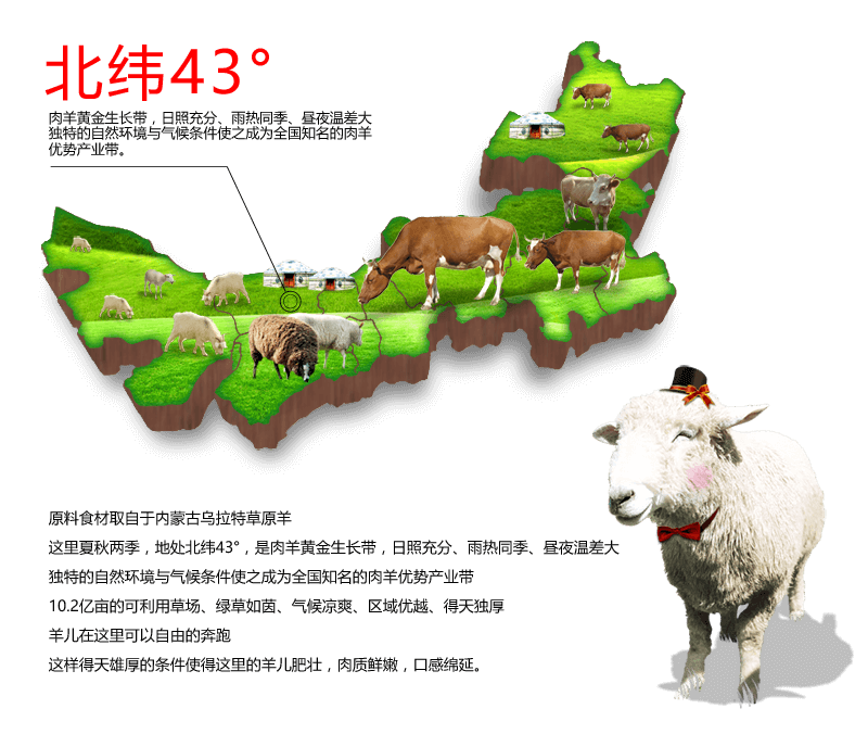 優(yōu)質(zhì)食材